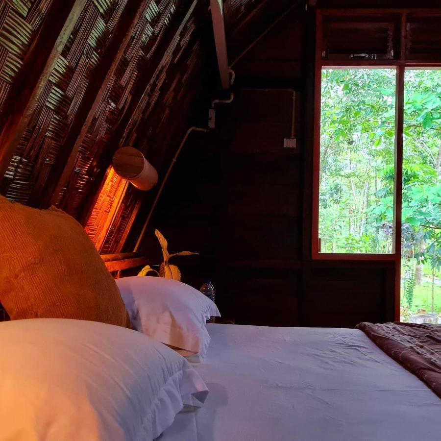 Etalauser Jungle Gate Ecoresort Bukit Lawang Εξωτερικό φωτογραφία