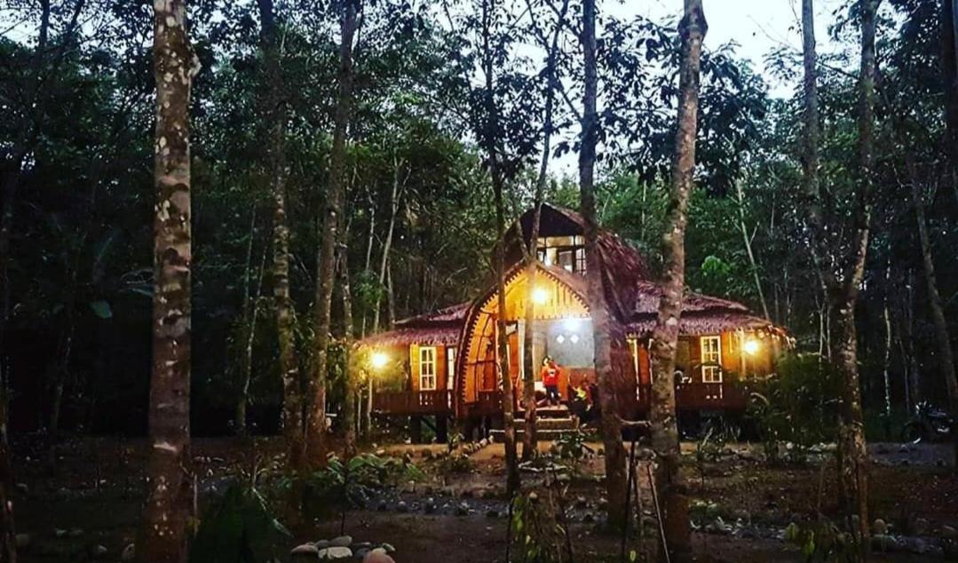 Etalauser Jungle Gate Ecoresort Bukit Lawang Εξωτερικό φωτογραφία