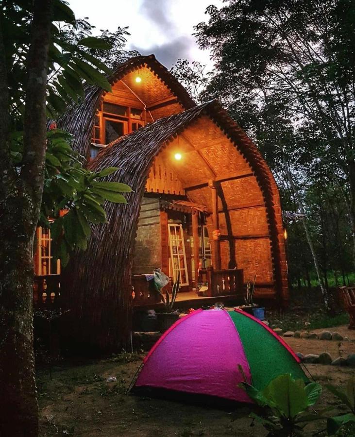Etalauser Jungle Gate Ecoresort Bukit Lawang Εξωτερικό φωτογραφία