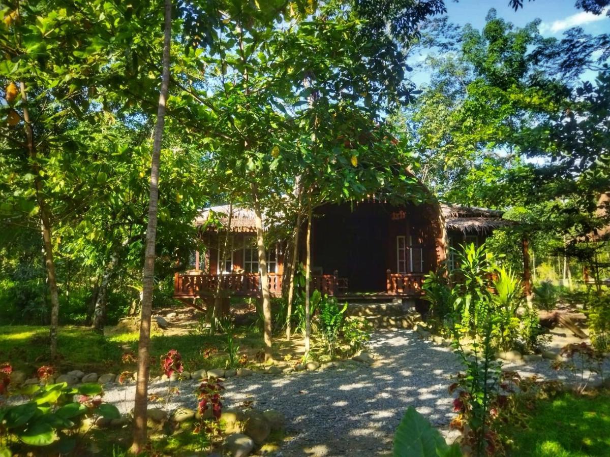 Etalauser Jungle Gate Ecoresort Bukit Lawang Εξωτερικό φωτογραφία