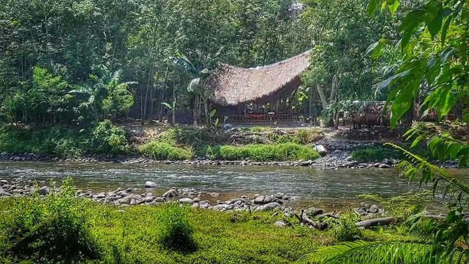 Etalauser Jungle Gate Ecoresort Bukit Lawang Εξωτερικό φωτογραφία