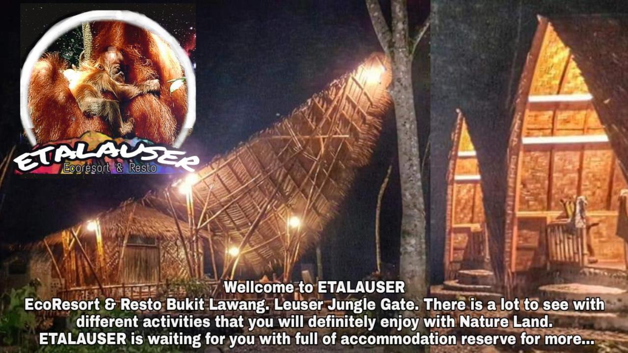 Etalauser Jungle Gate Ecoresort Bukit Lawang Εξωτερικό φωτογραφία